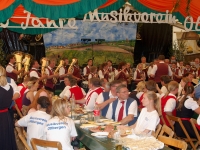 musikfest-ottbergen-4-aug-2013-272